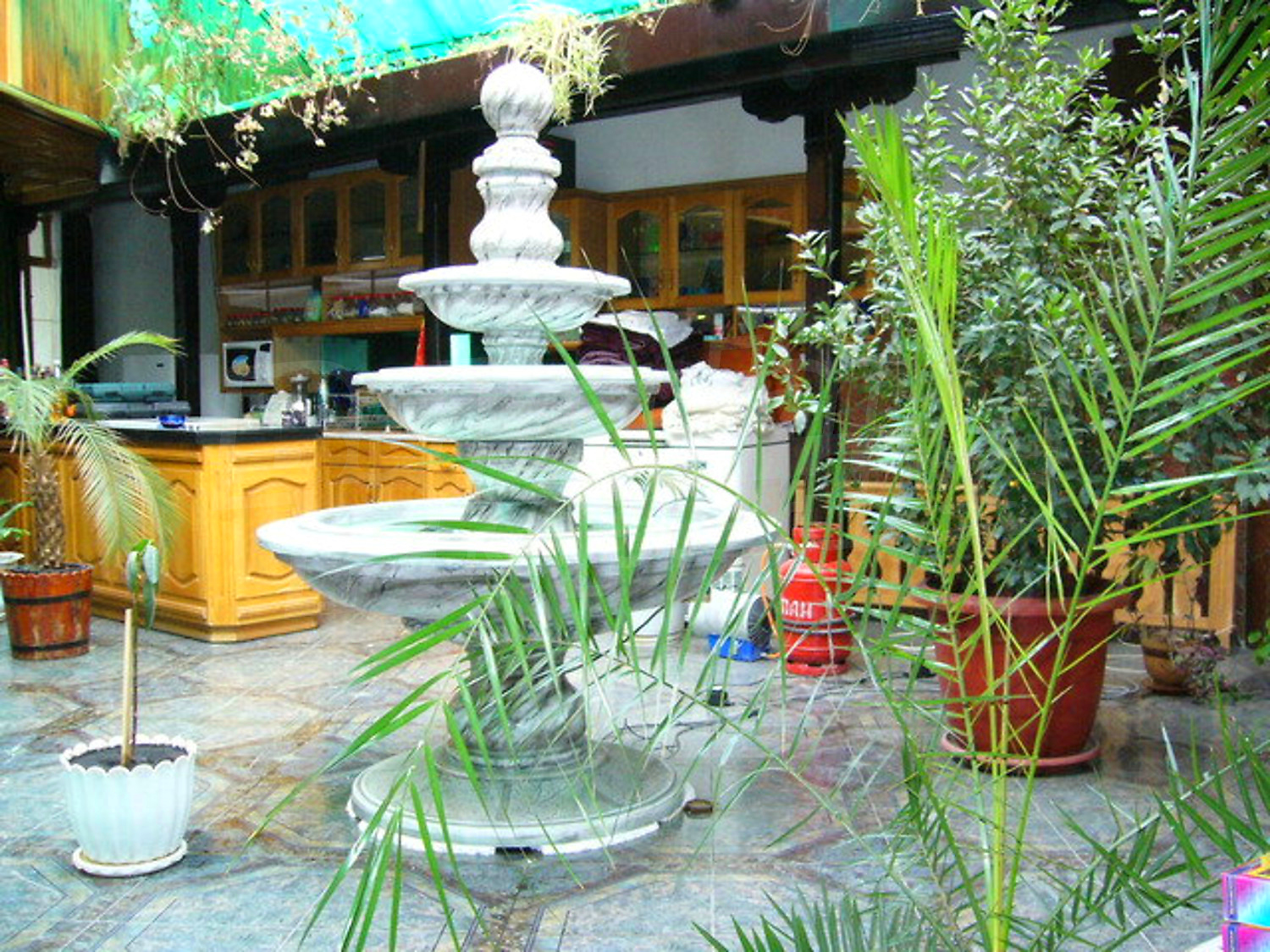 Gallery Picture 36