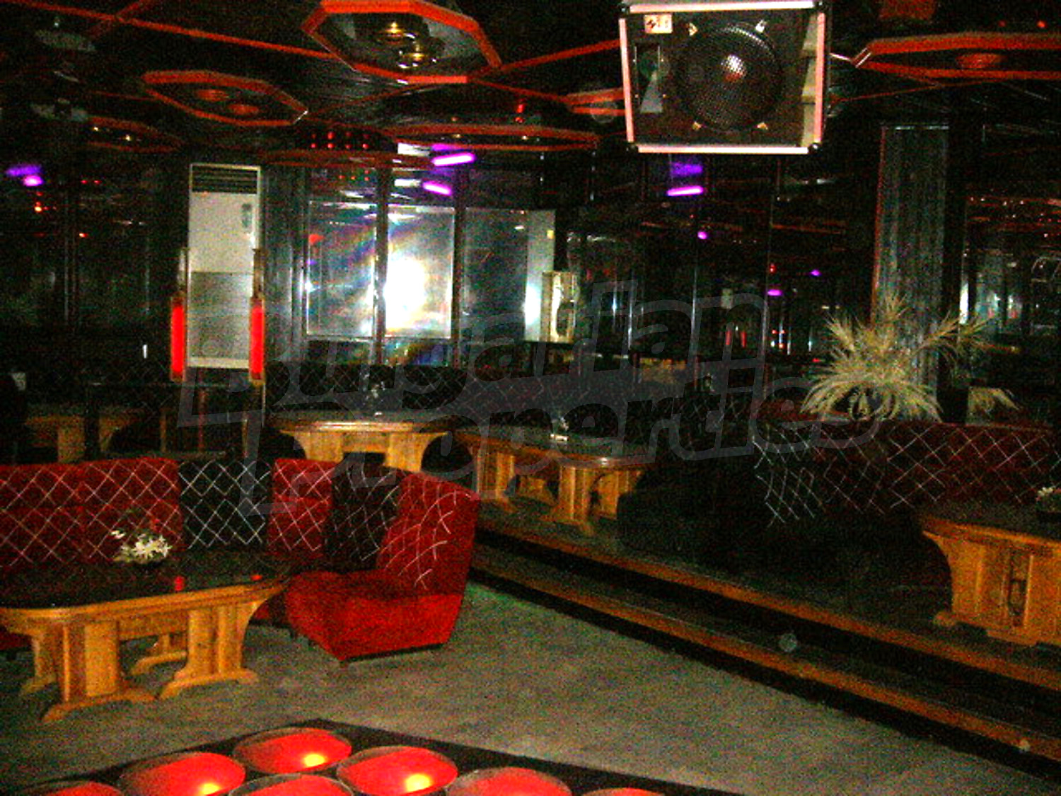 Gallery Picture 44