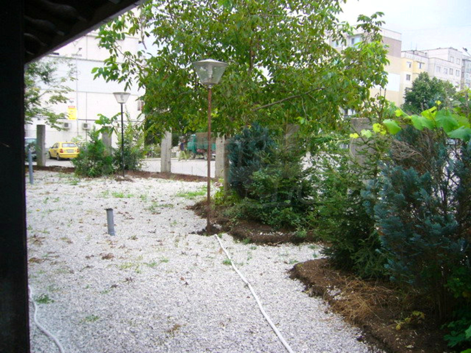 Gallery Picture 53