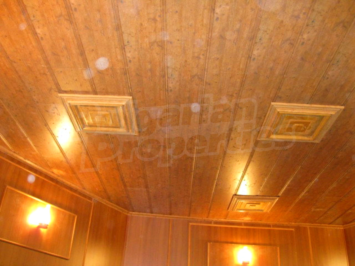 Gallery Picture 62