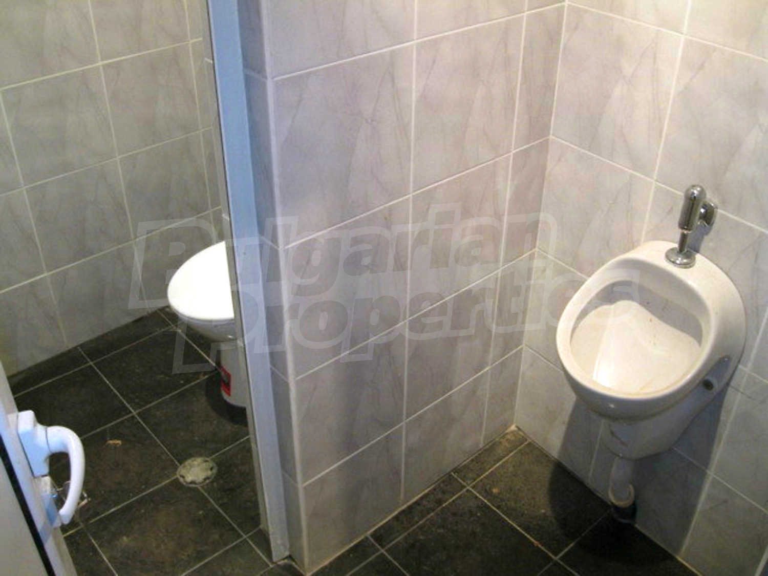 Gallery Picture 67