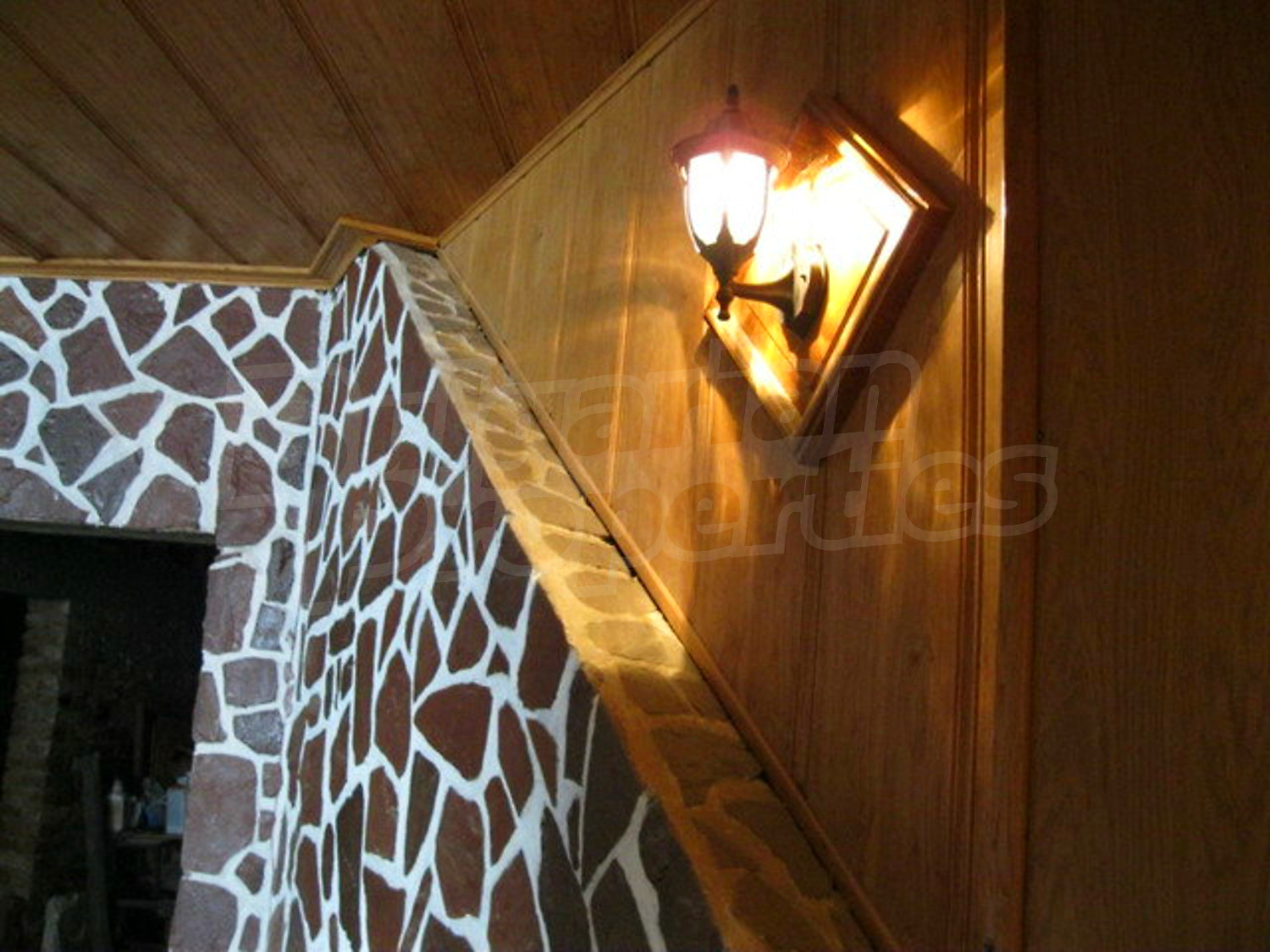 Gallery Picture 68