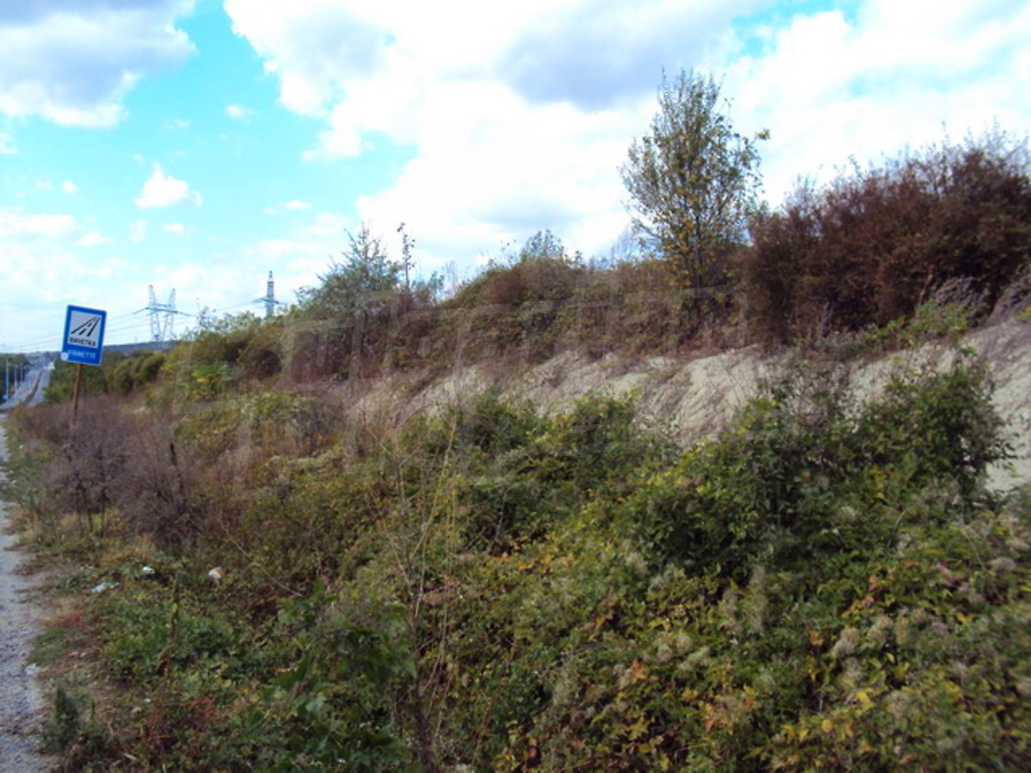 Gallery Picture 13