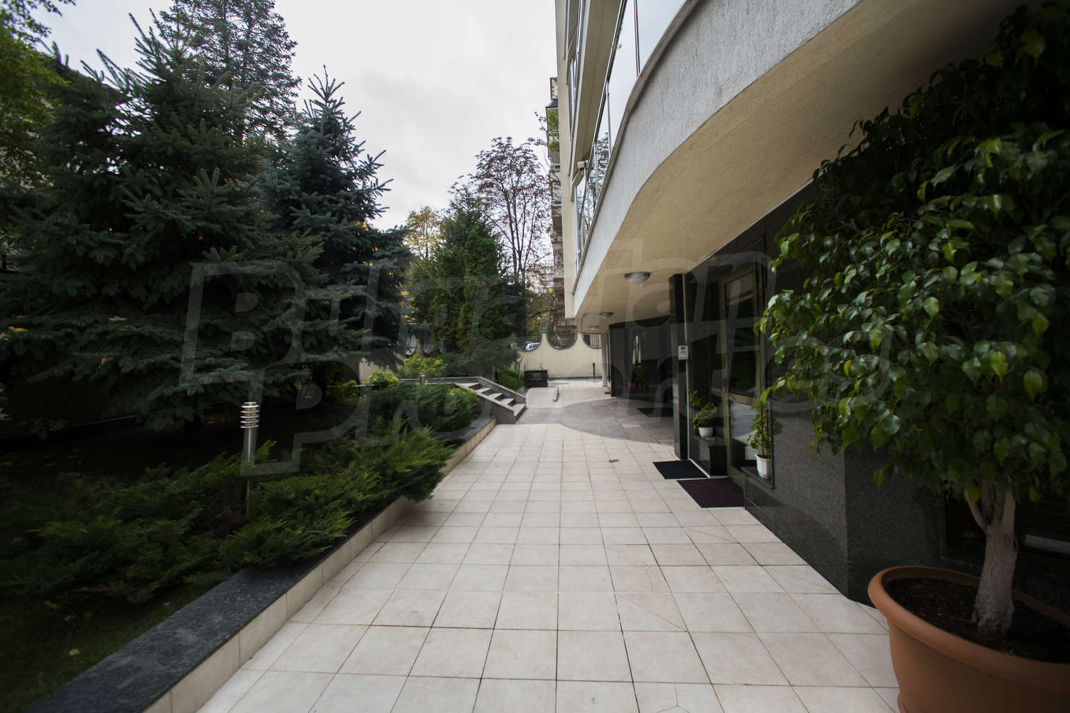Gallery Picture 19