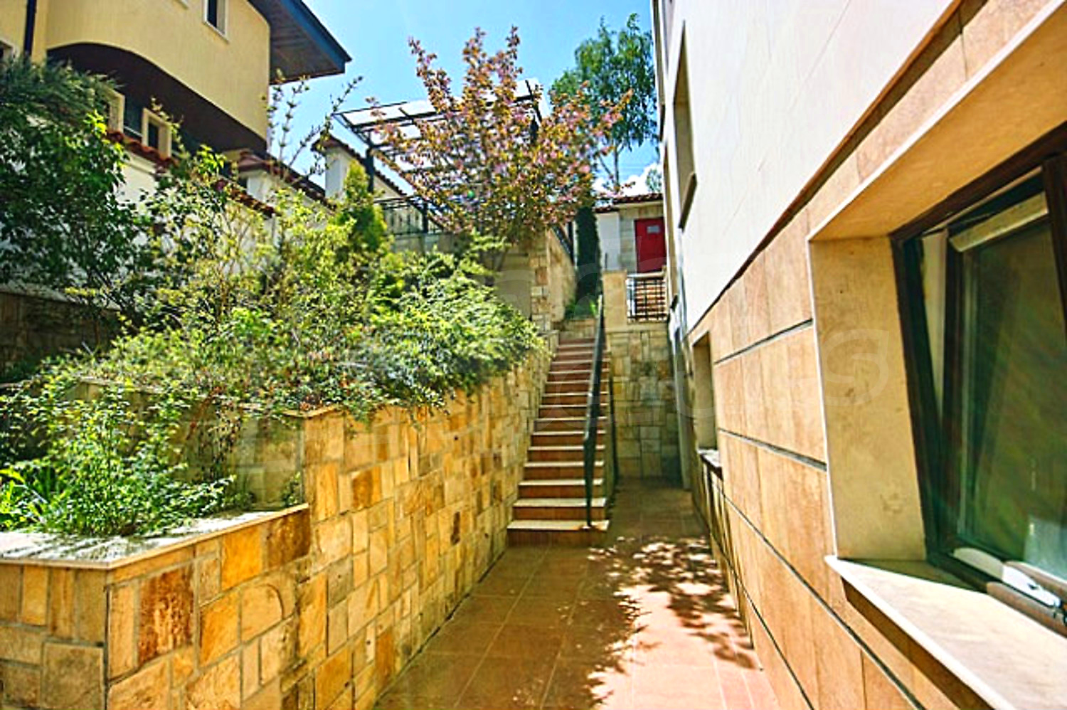 Gallery Picture 18