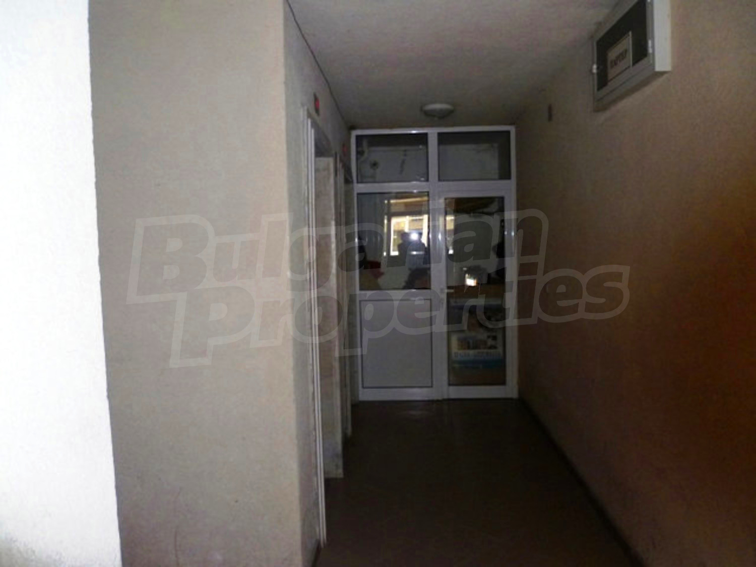 Gallery Picture 26