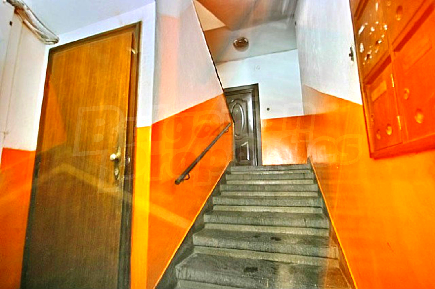 Gallery Picture 16