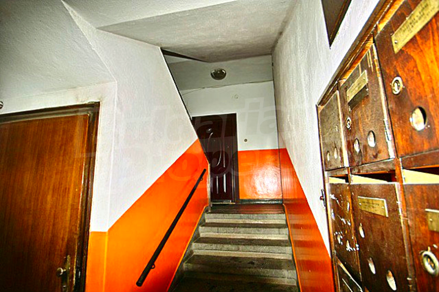 Gallery Picture 17