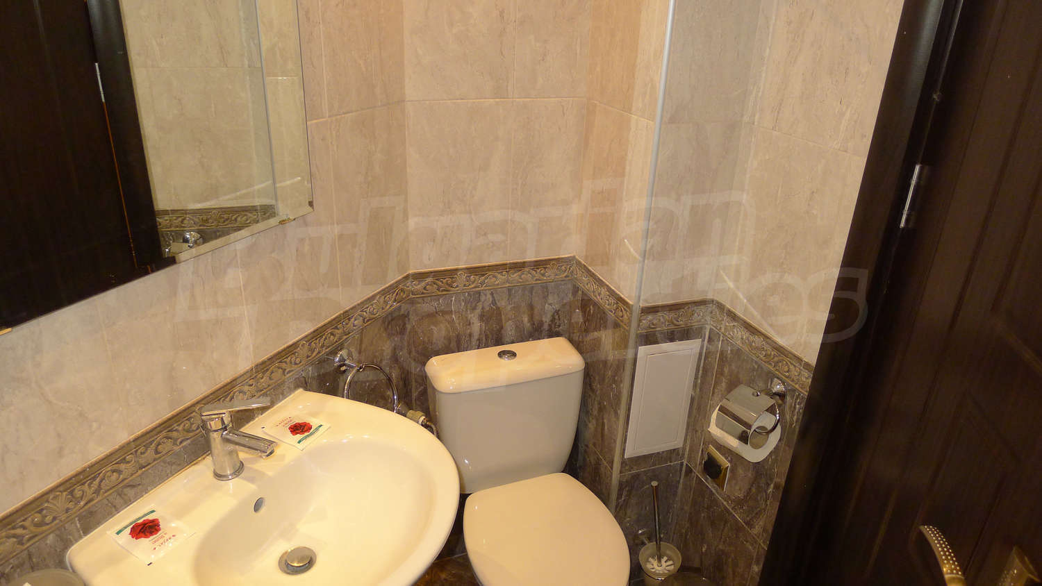 Gallery Picture 16