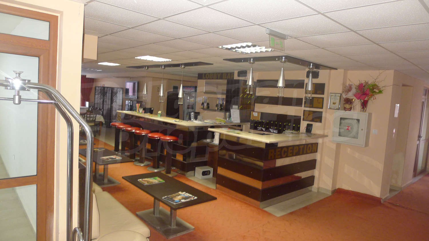 Gallery Picture 17