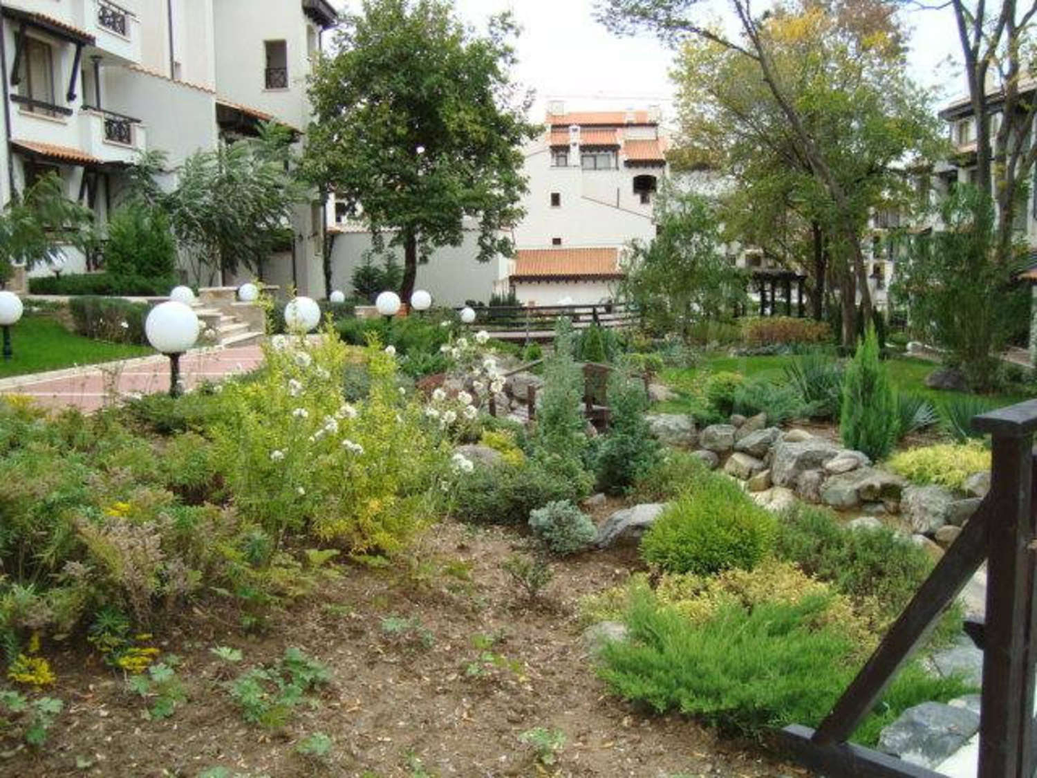 Gallery Picture 17