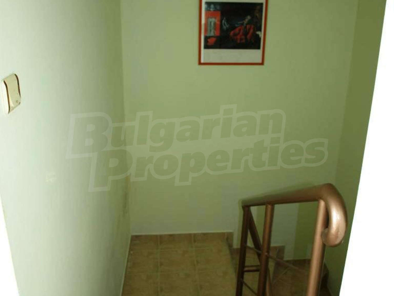 Gallery Picture 19