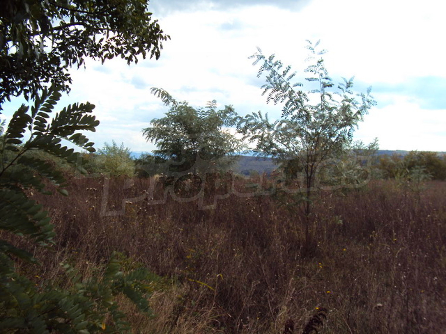 Gallery Picture 6