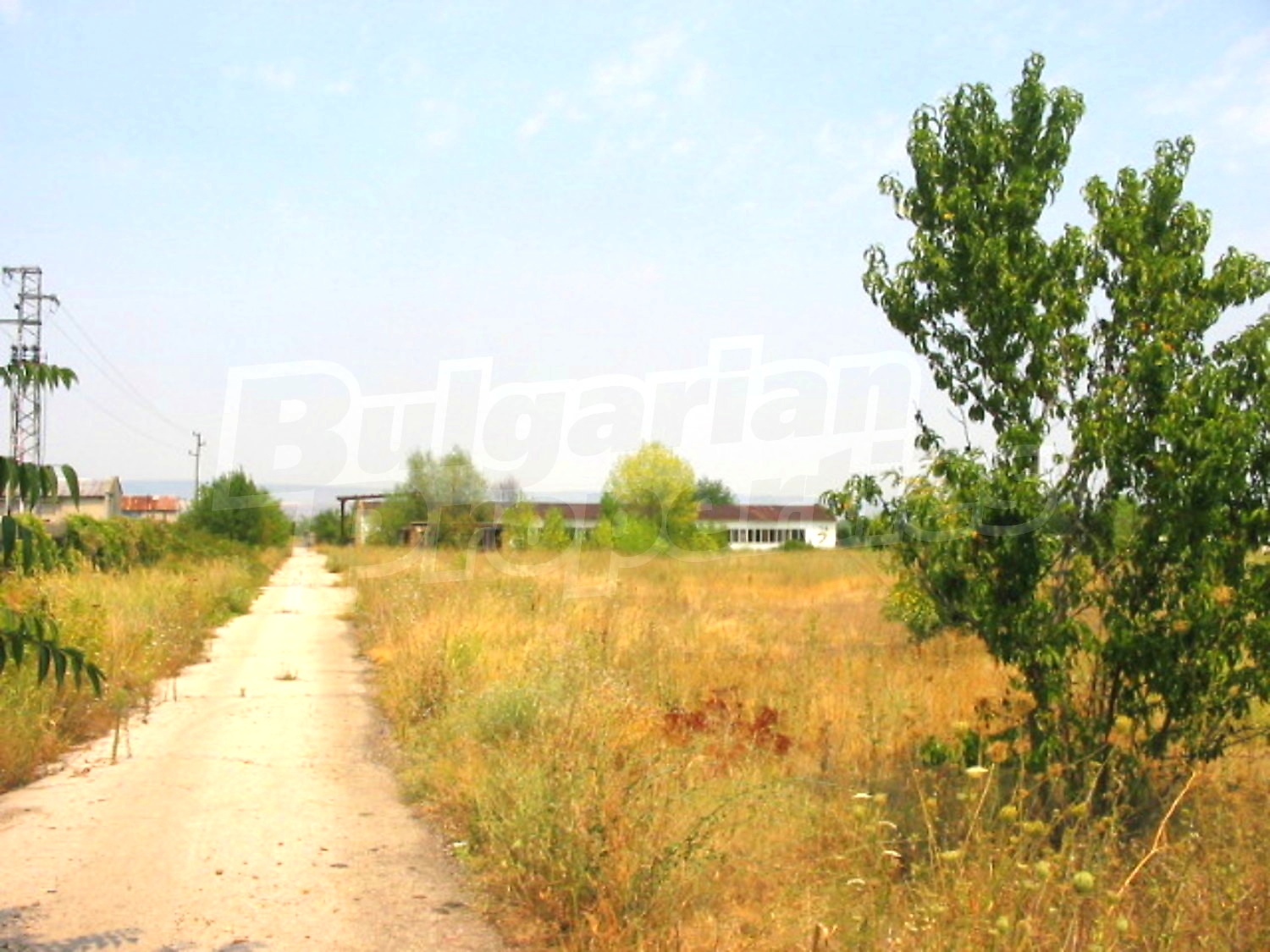 Gallery Picture 13