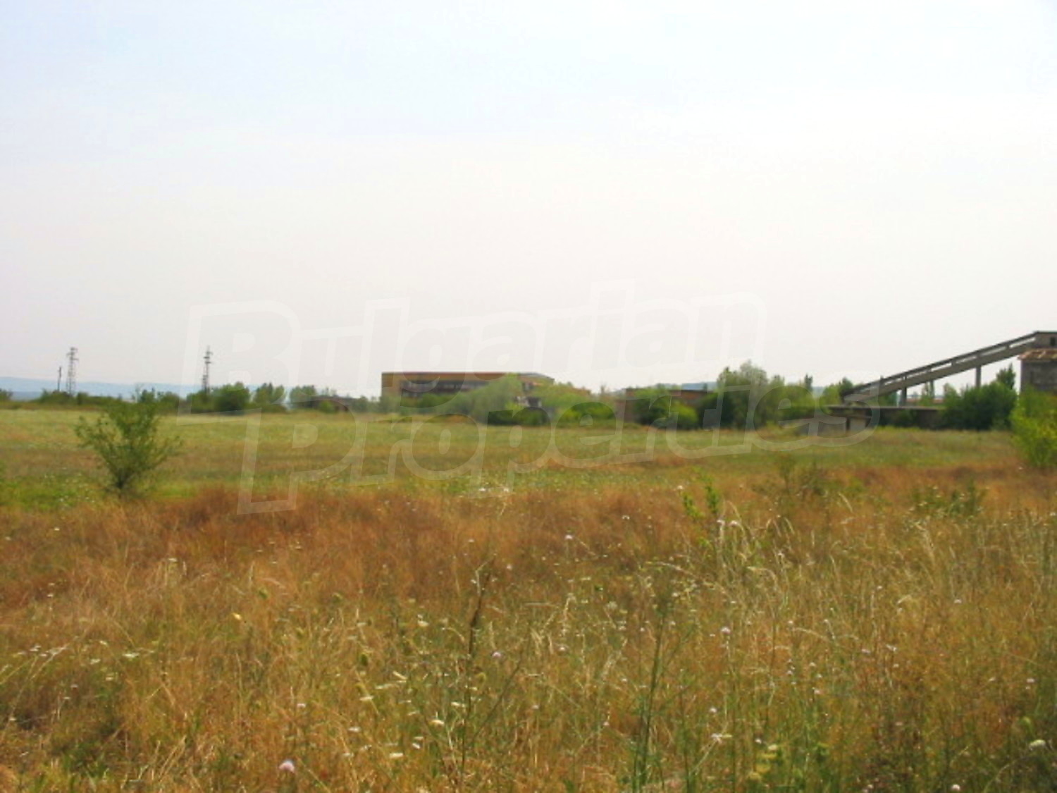 Gallery Picture 8