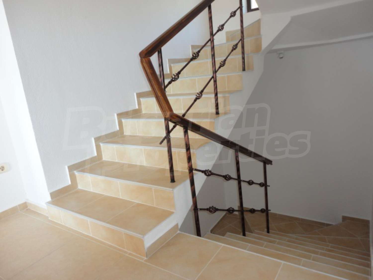 Gallery Picture 22