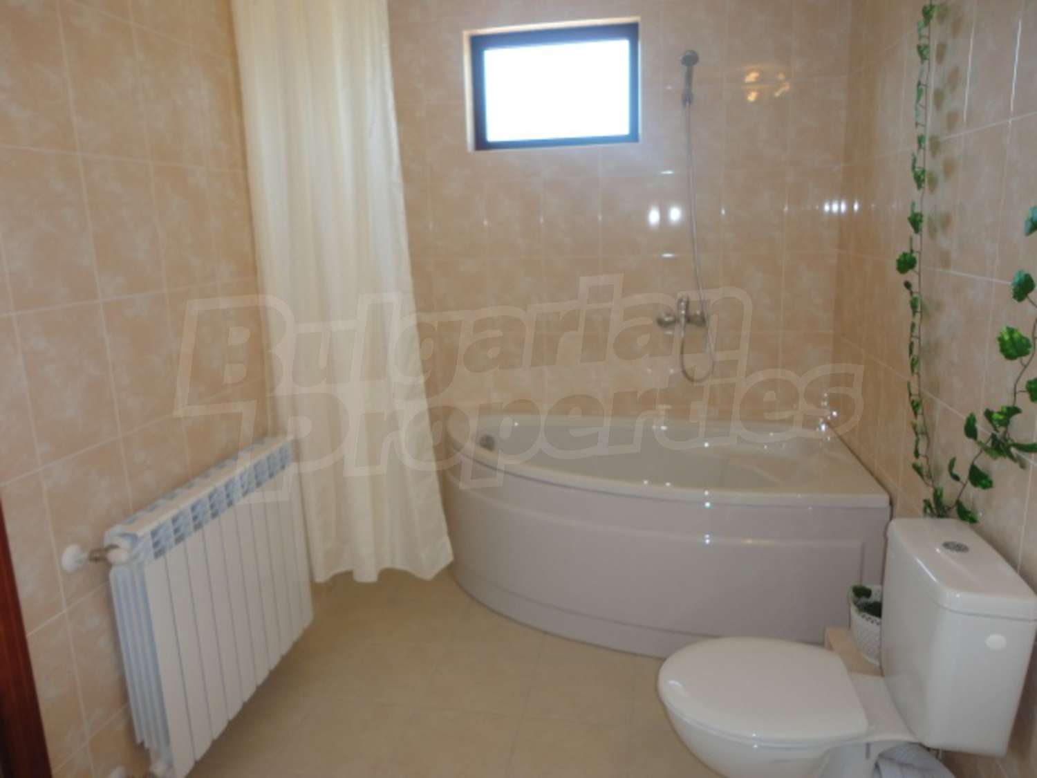 Gallery Picture 29