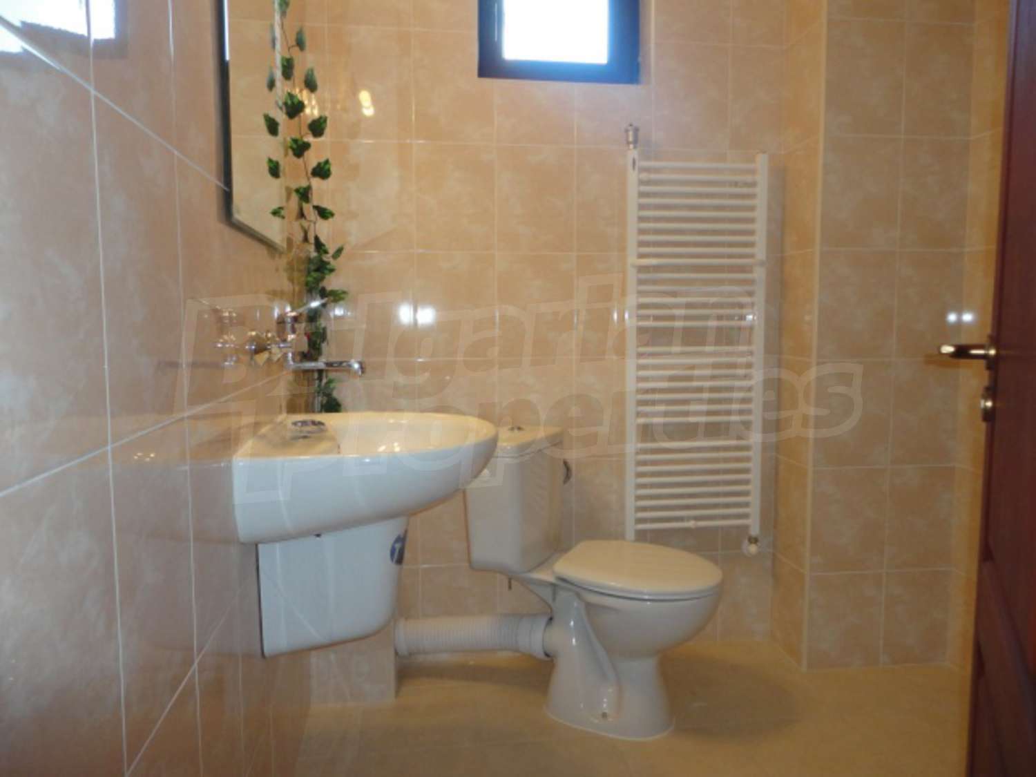 Gallery Picture 36