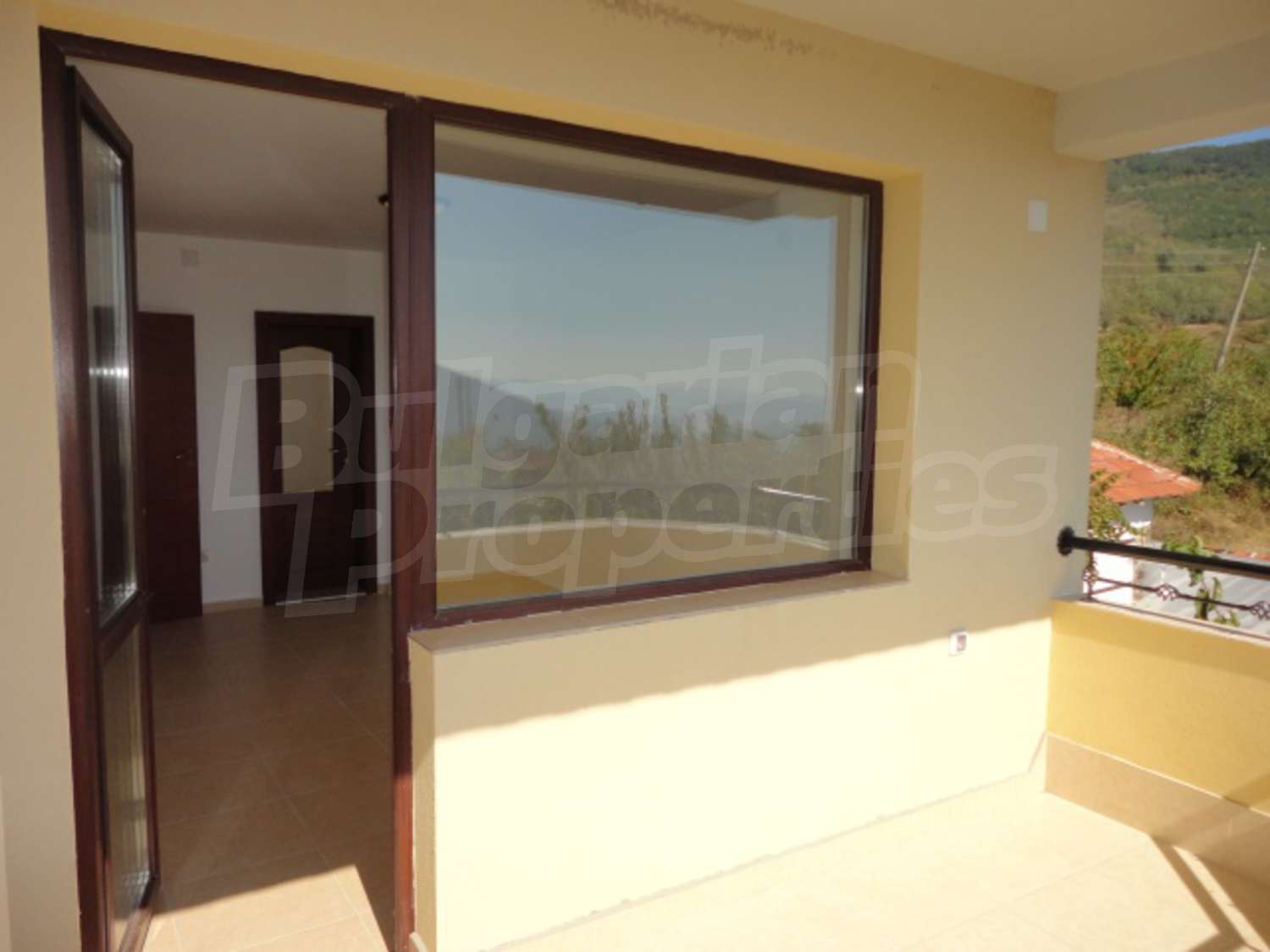 Gallery Picture 43