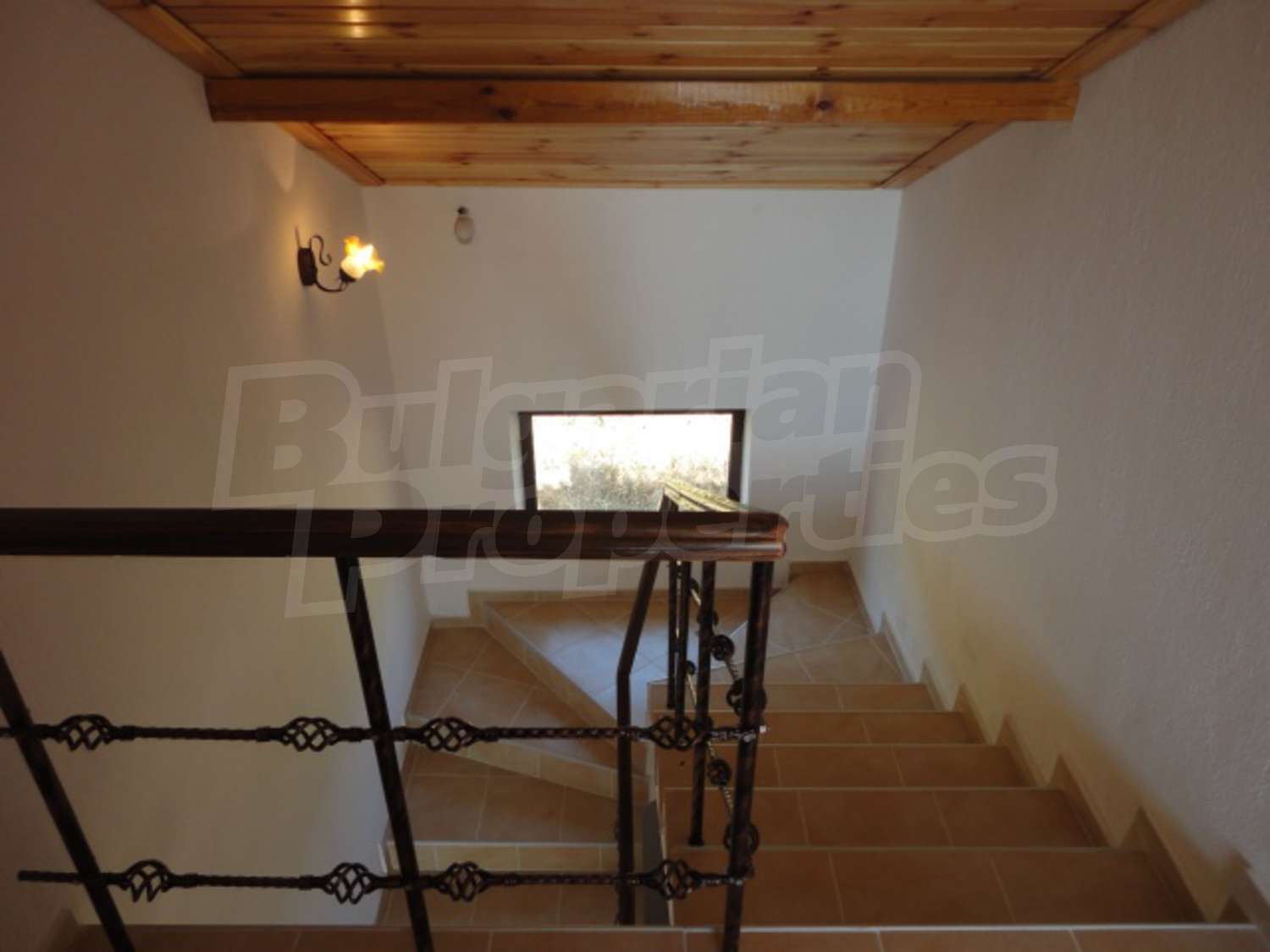 Gallery Picture 46