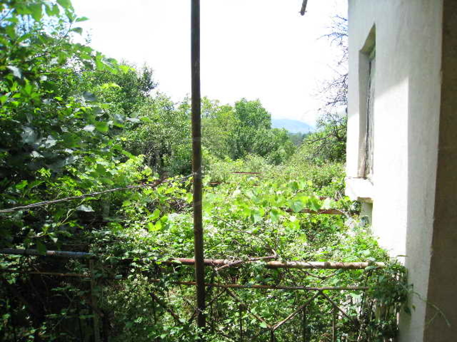 Gallery Picture 10
