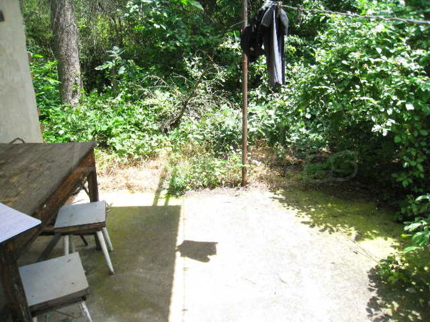 Gallery Picture 11