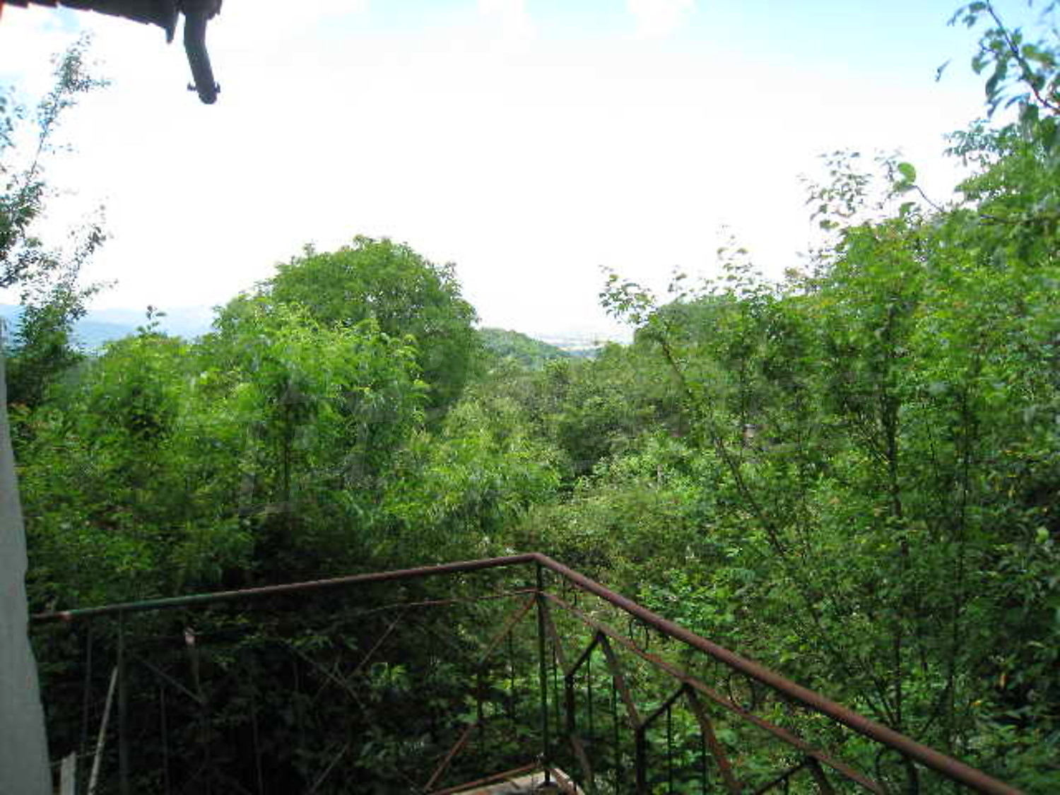 Gallery Picture 12