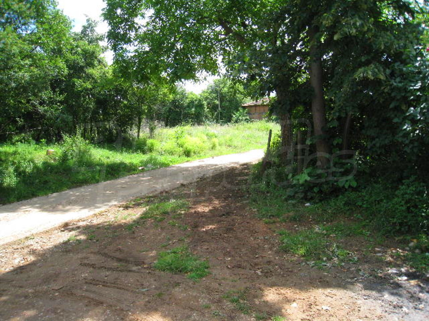 Gallery Picture 13