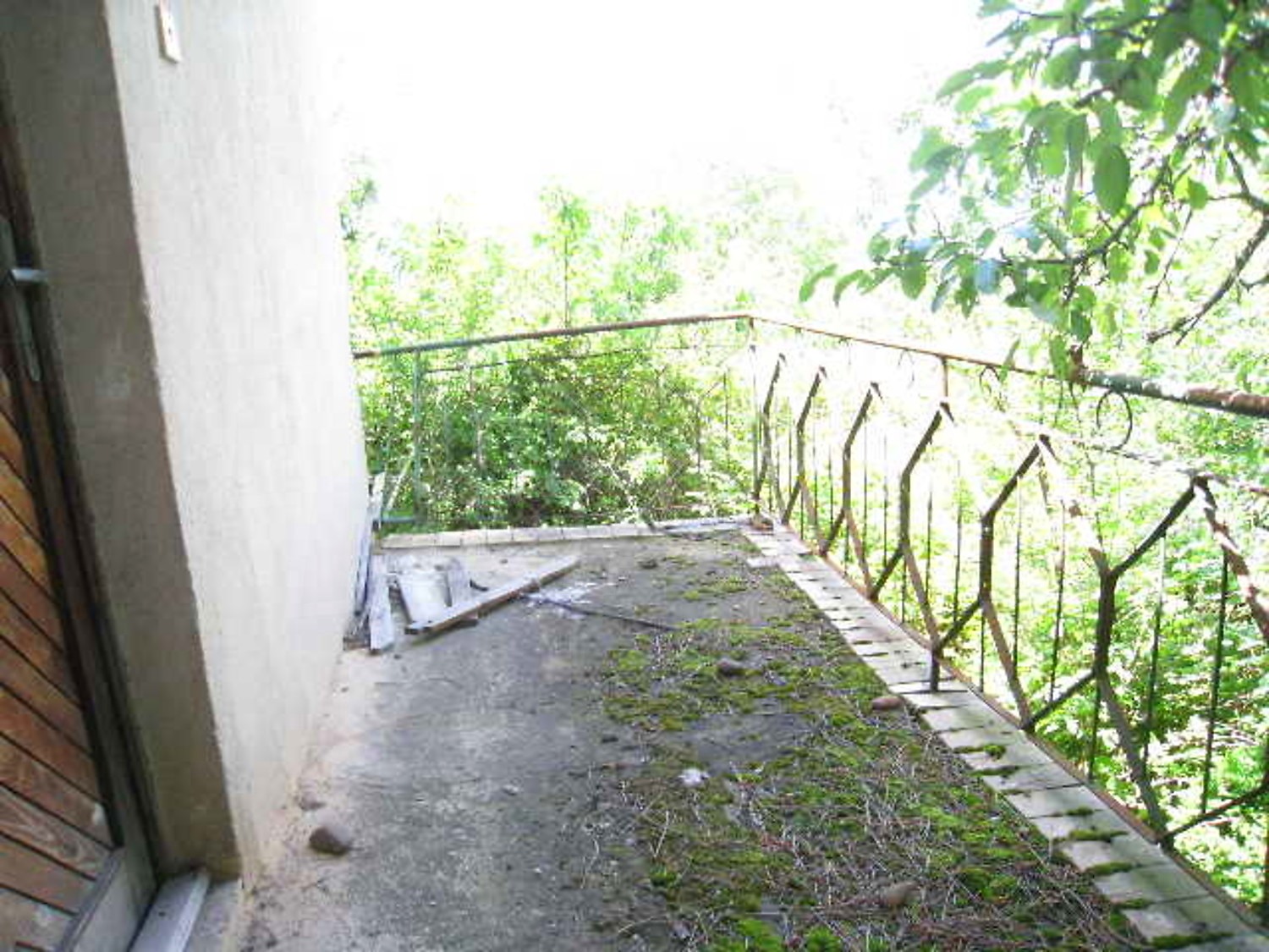 Gallery Picture 9