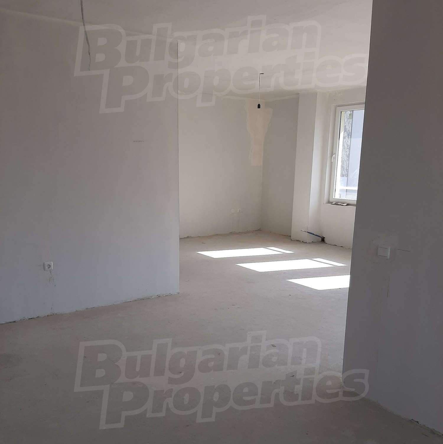 Gallery Picture 5