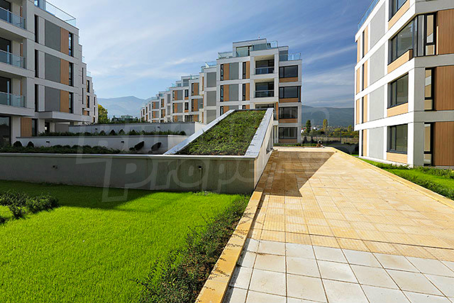 Gallery Picture 2