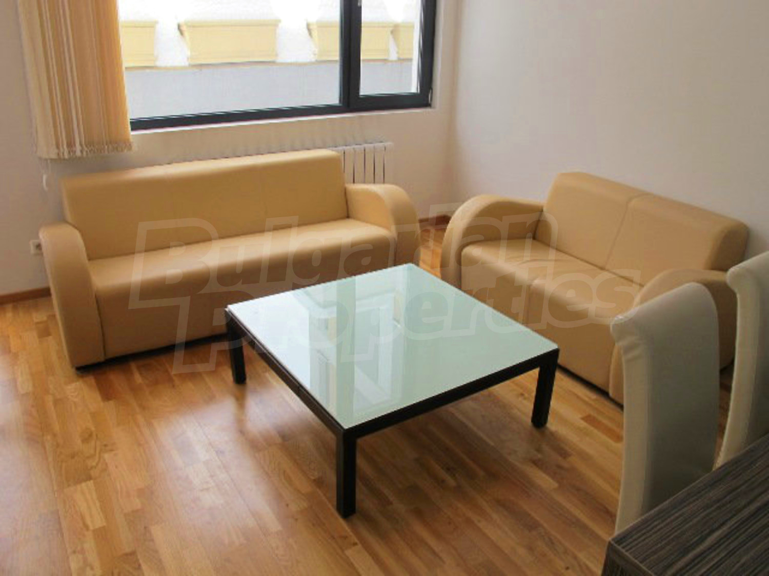 Gallery Picture 8