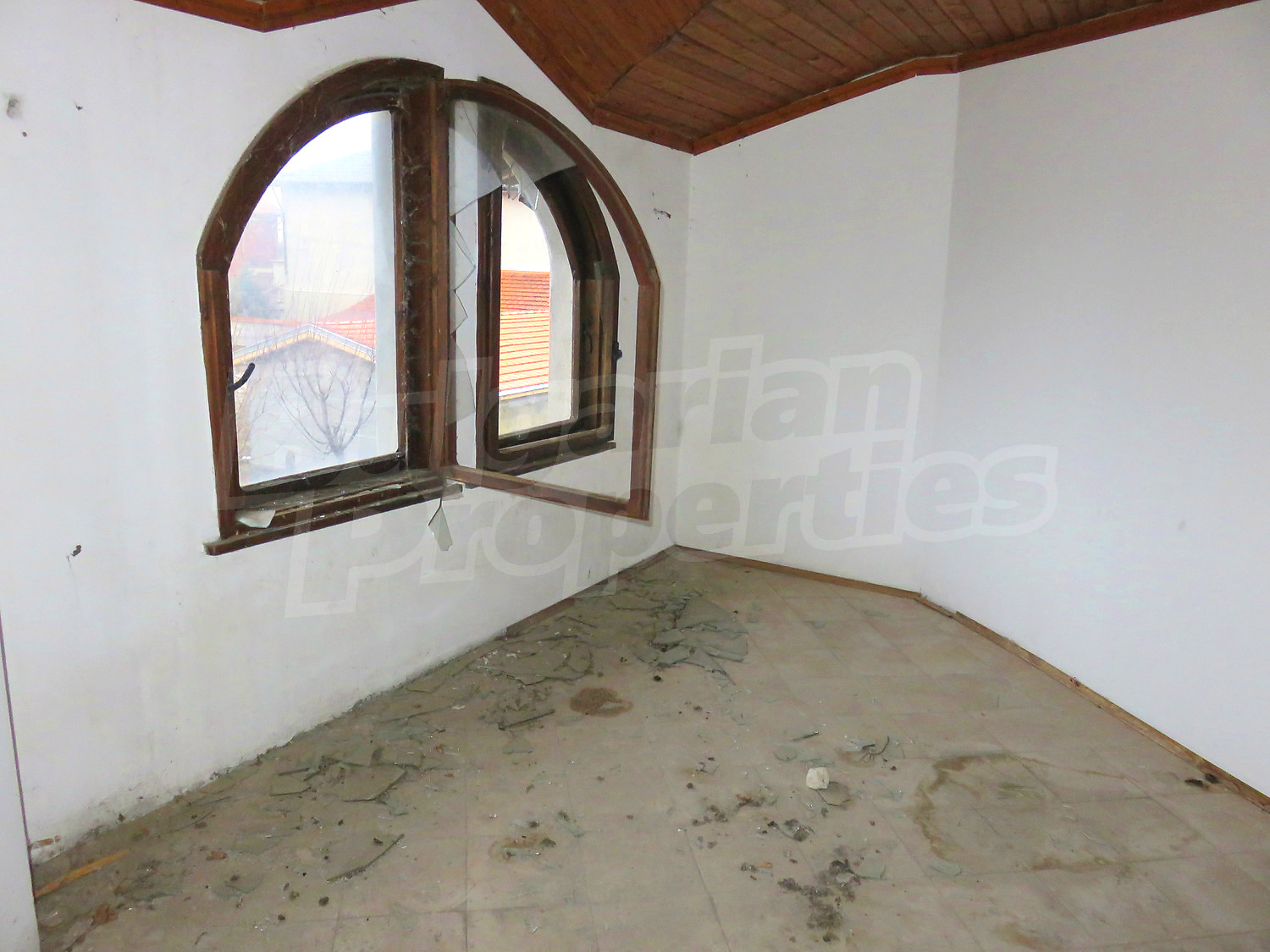 Gallery Picture 10