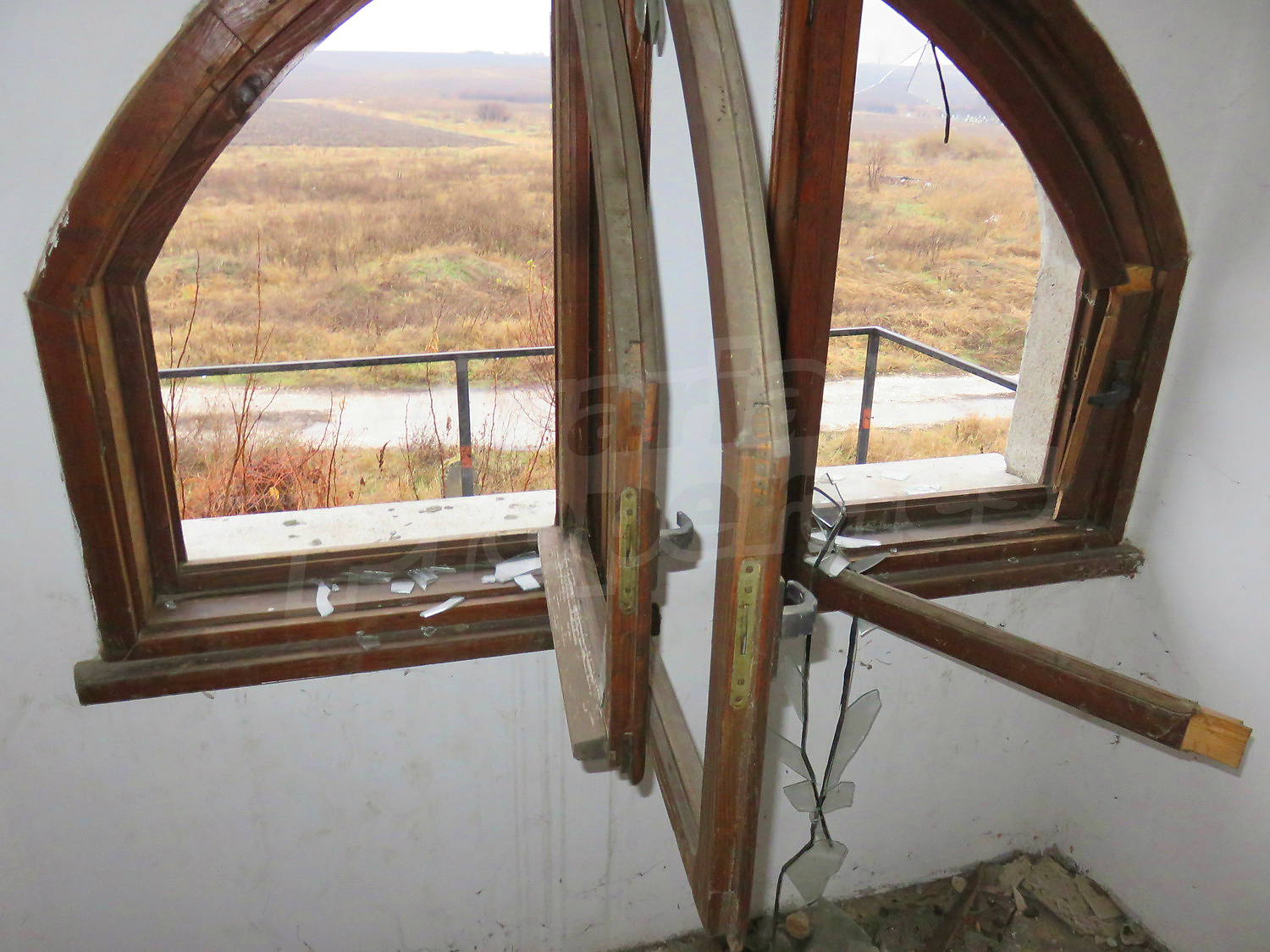 Gallery Picture 11