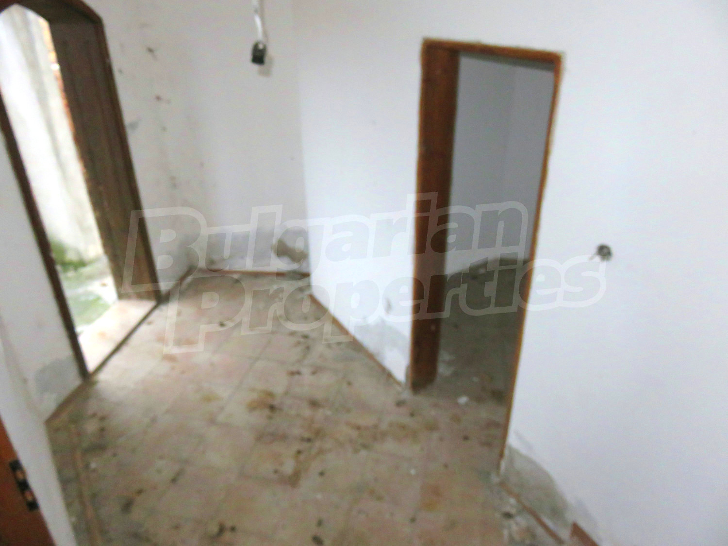 Gallery Picture 12