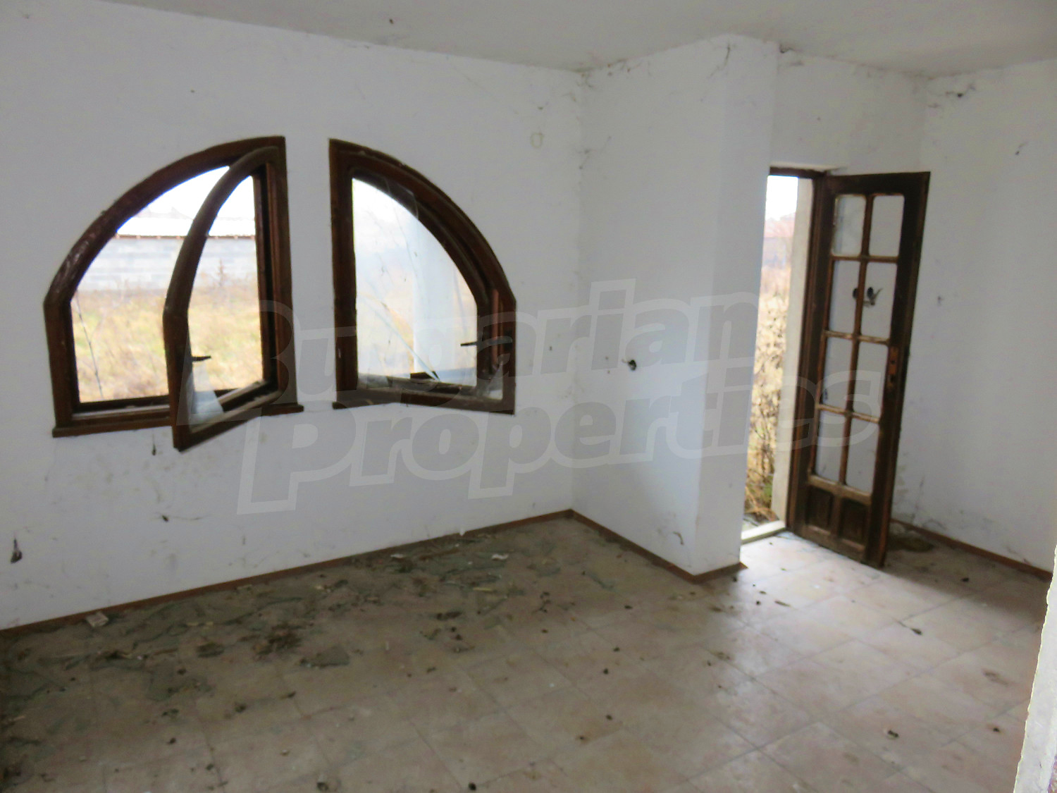 Gallery Picture 13