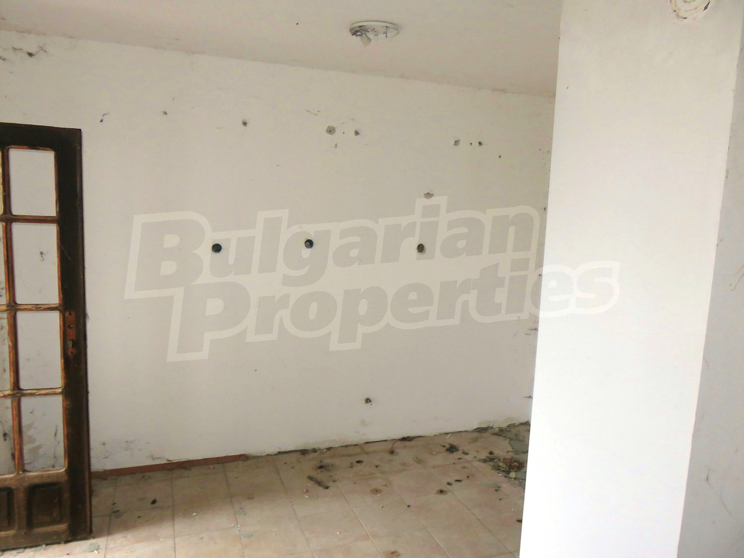 Gallery Picture 14
