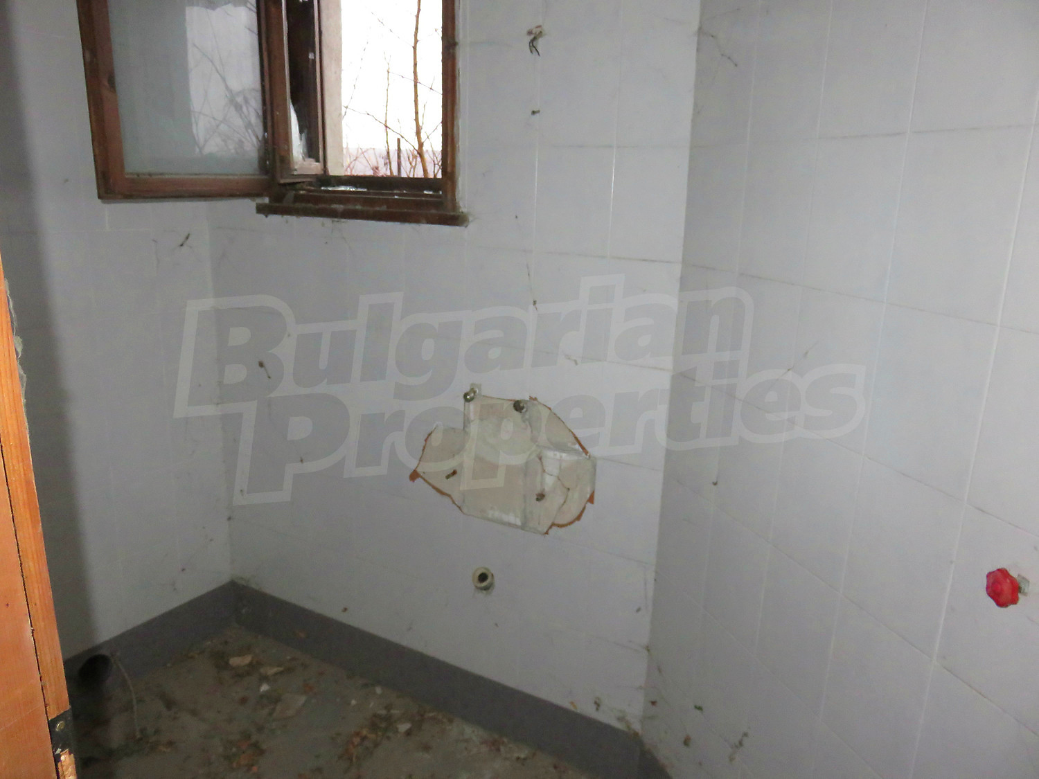 Gallery Picture 15