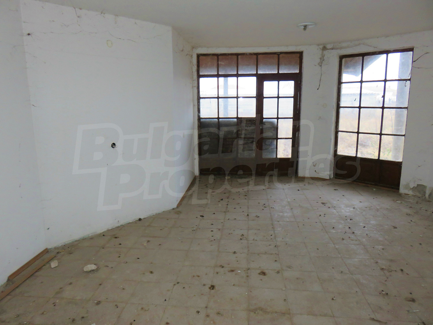 Gallery Picture 16
