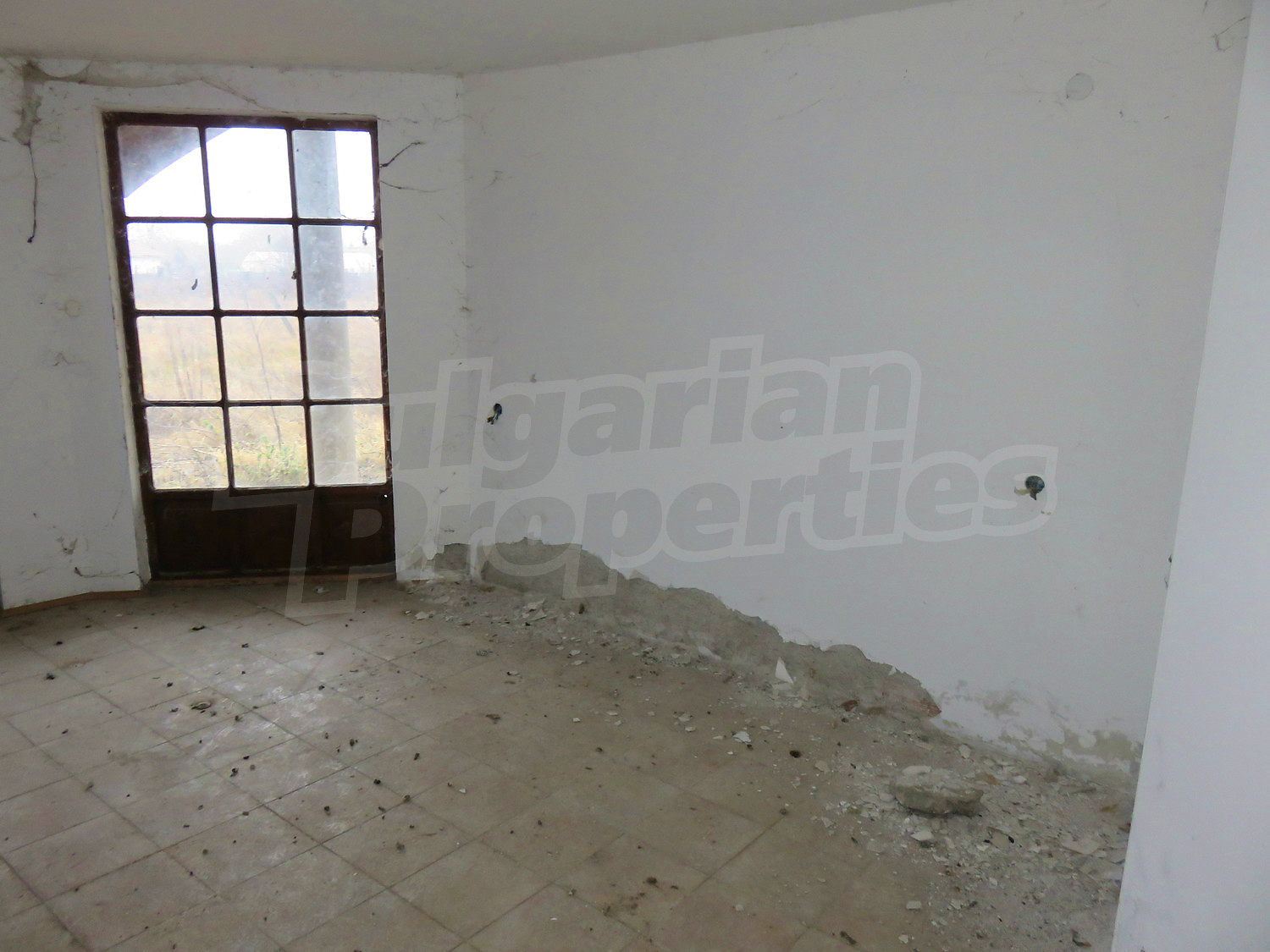 Gallery Picture 17