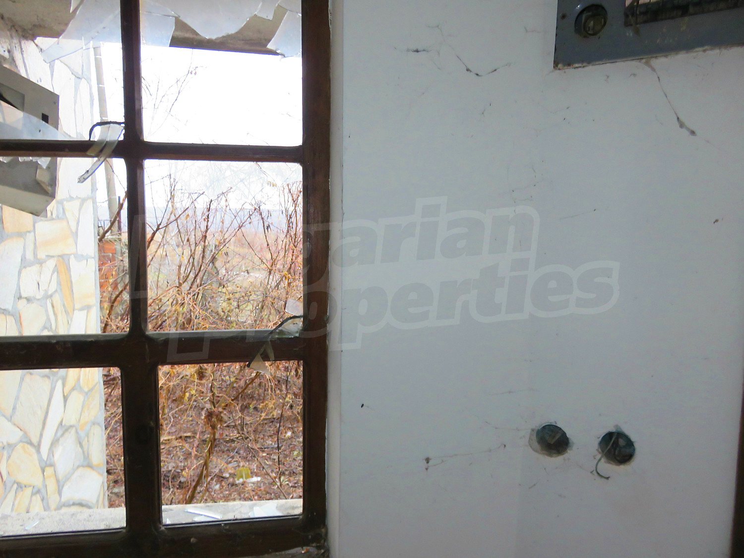 Gallery Picture 18