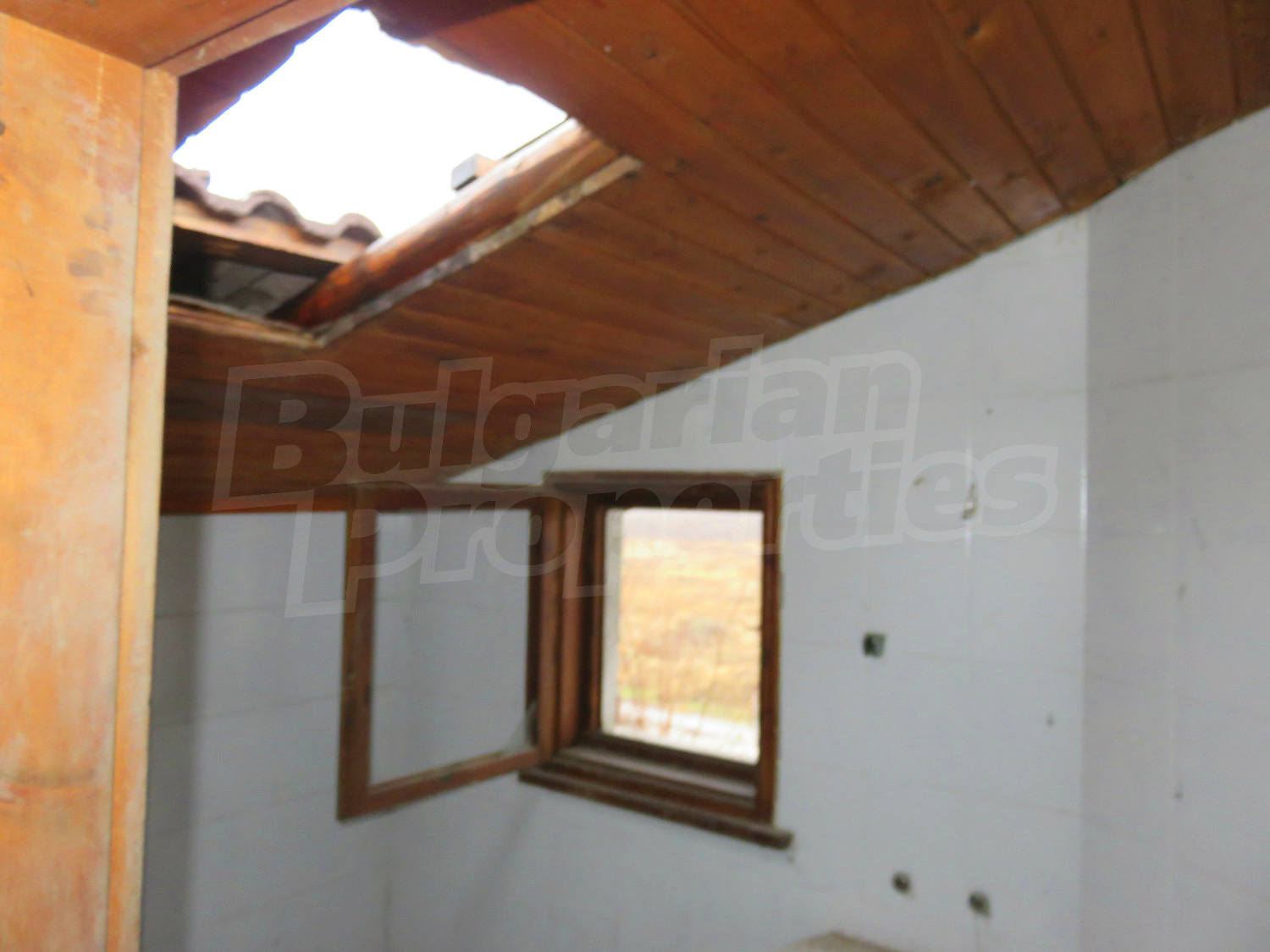 Gallery Picture 8