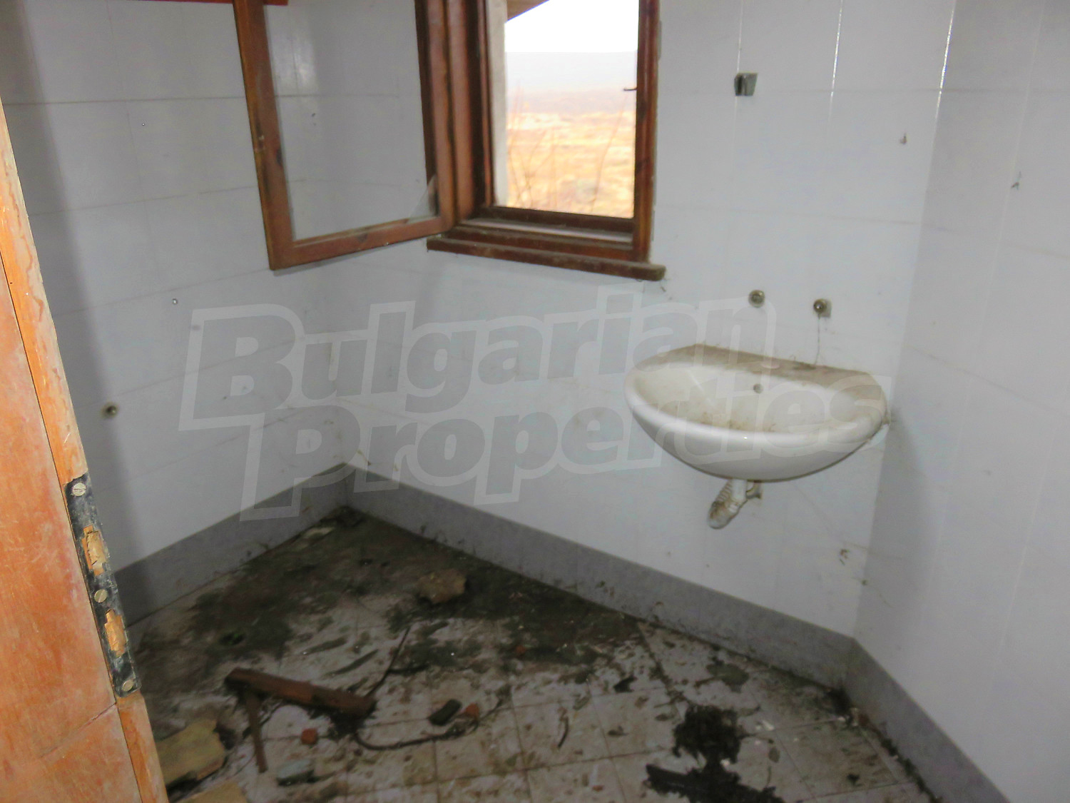 Gallery Picture 9