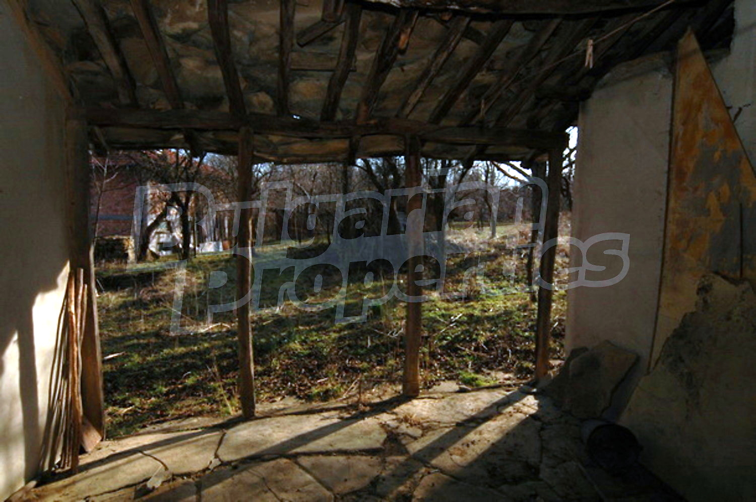 Gallery Picture 10