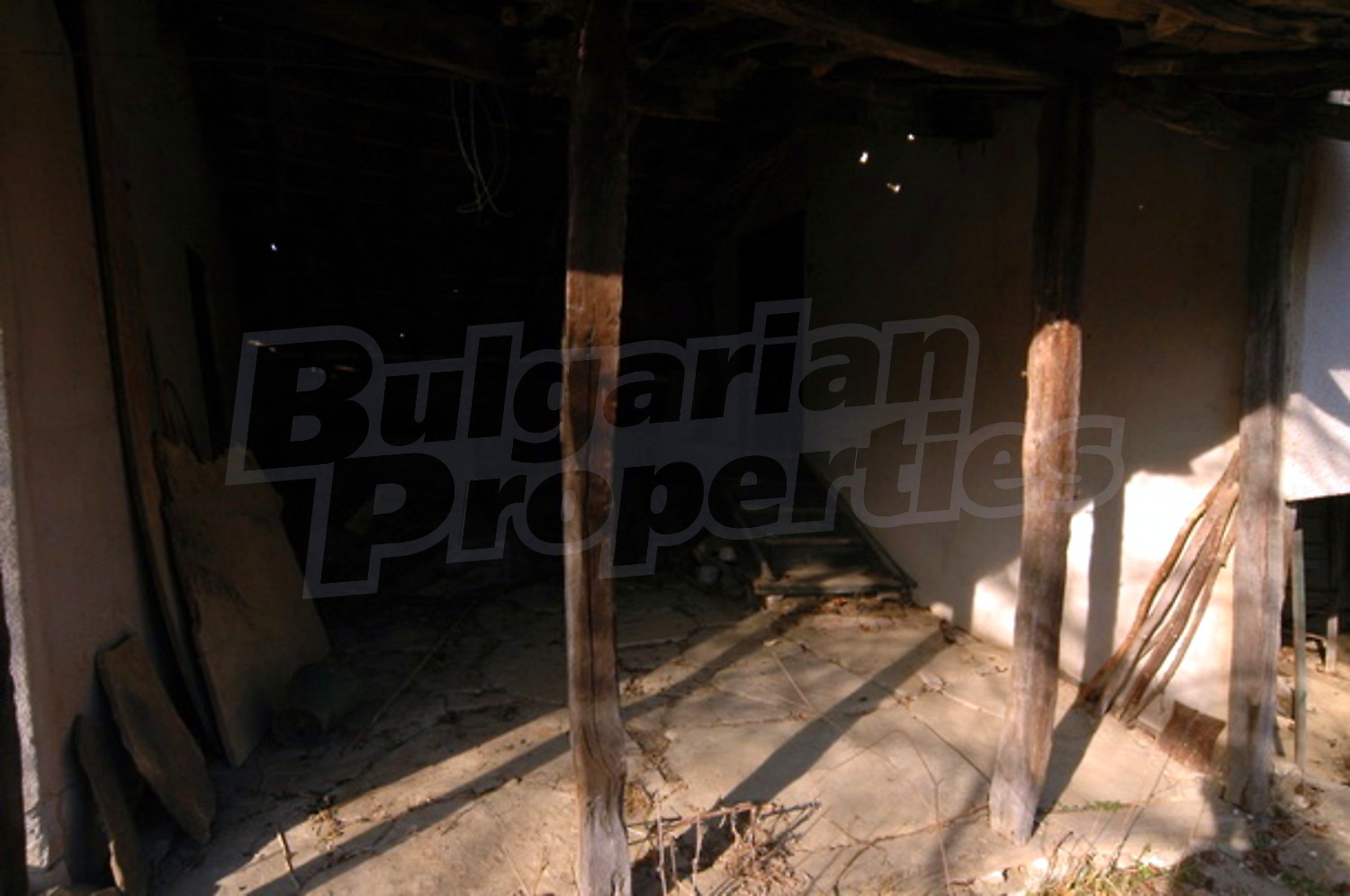 Gallery Picture 12