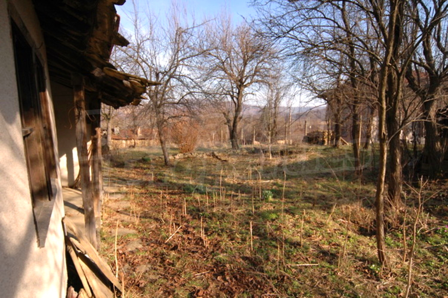 Gallery Picture 14
