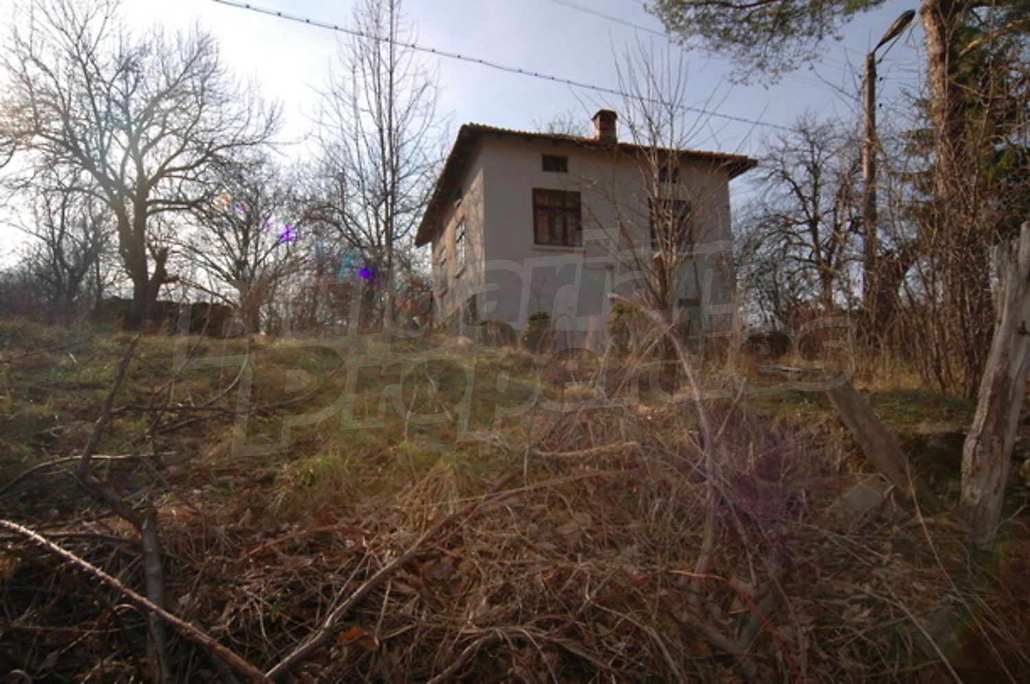 Gallery Picture 2