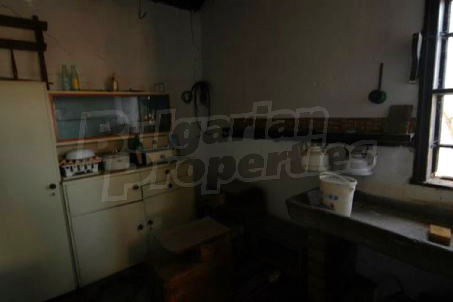 Gallery Picture 21