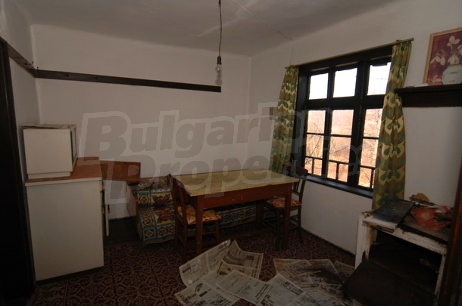 Gallery Picture 6