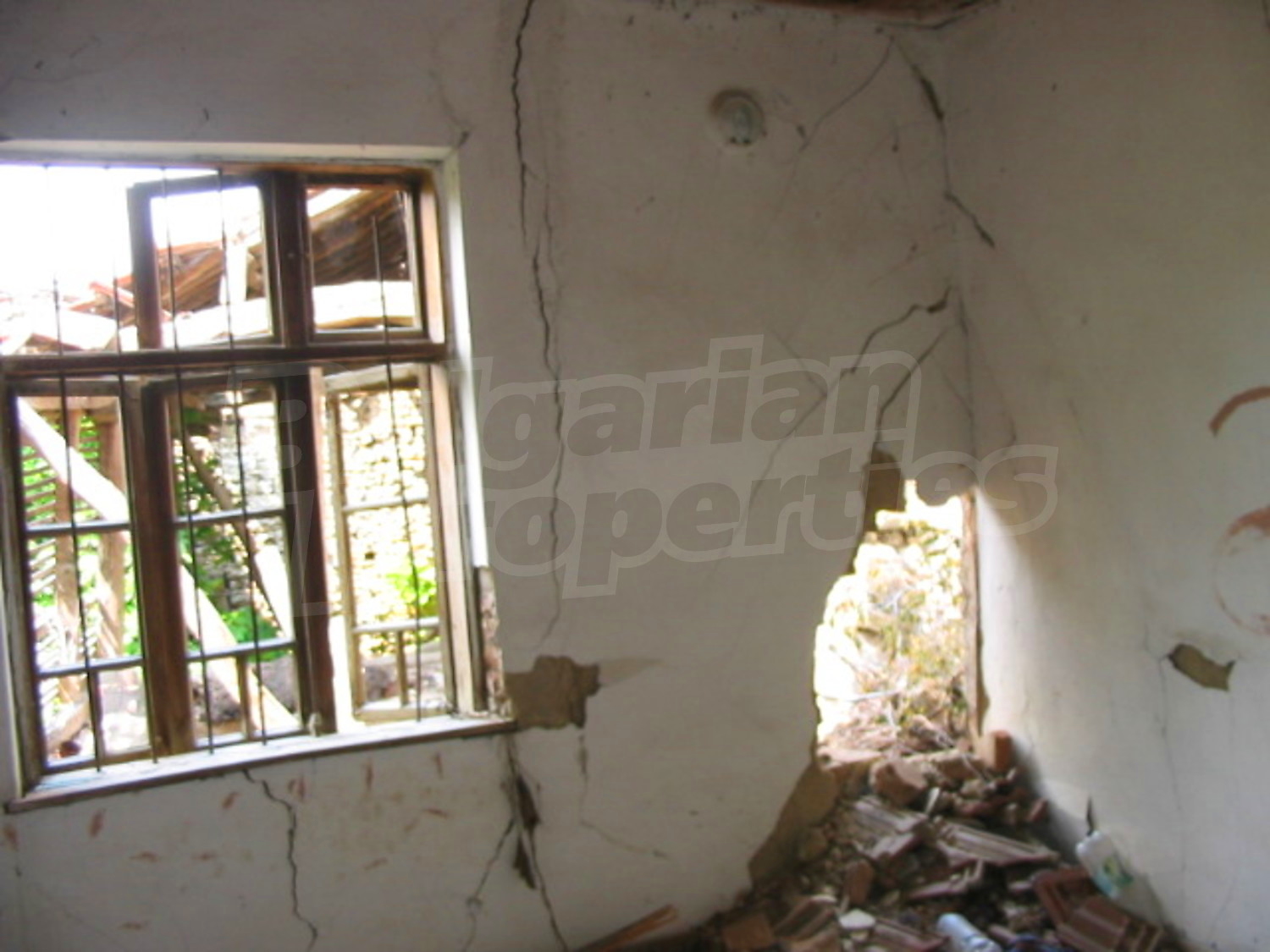 Gallery Picture 5